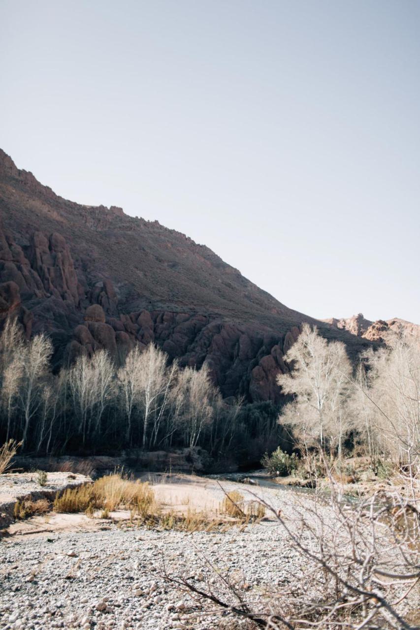 Tafsut Dades Guesthouse Stay With Locals Tamellalt  ภายนอก รูปภาพ